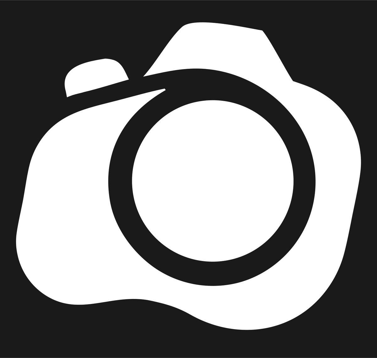 Camera Body Icon #1a1a1a/#ffffff