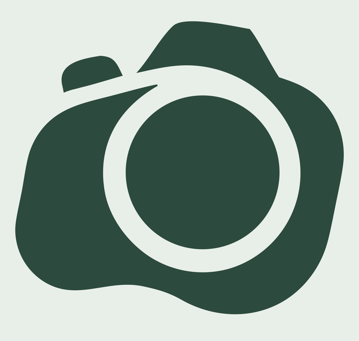 Camera Body Icon #e8efe9/#2d4a3e