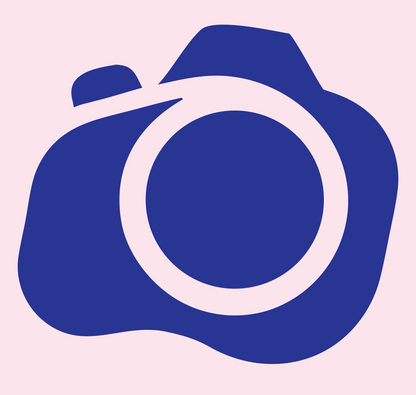 Camera Body Icon #fce4ec/#283593