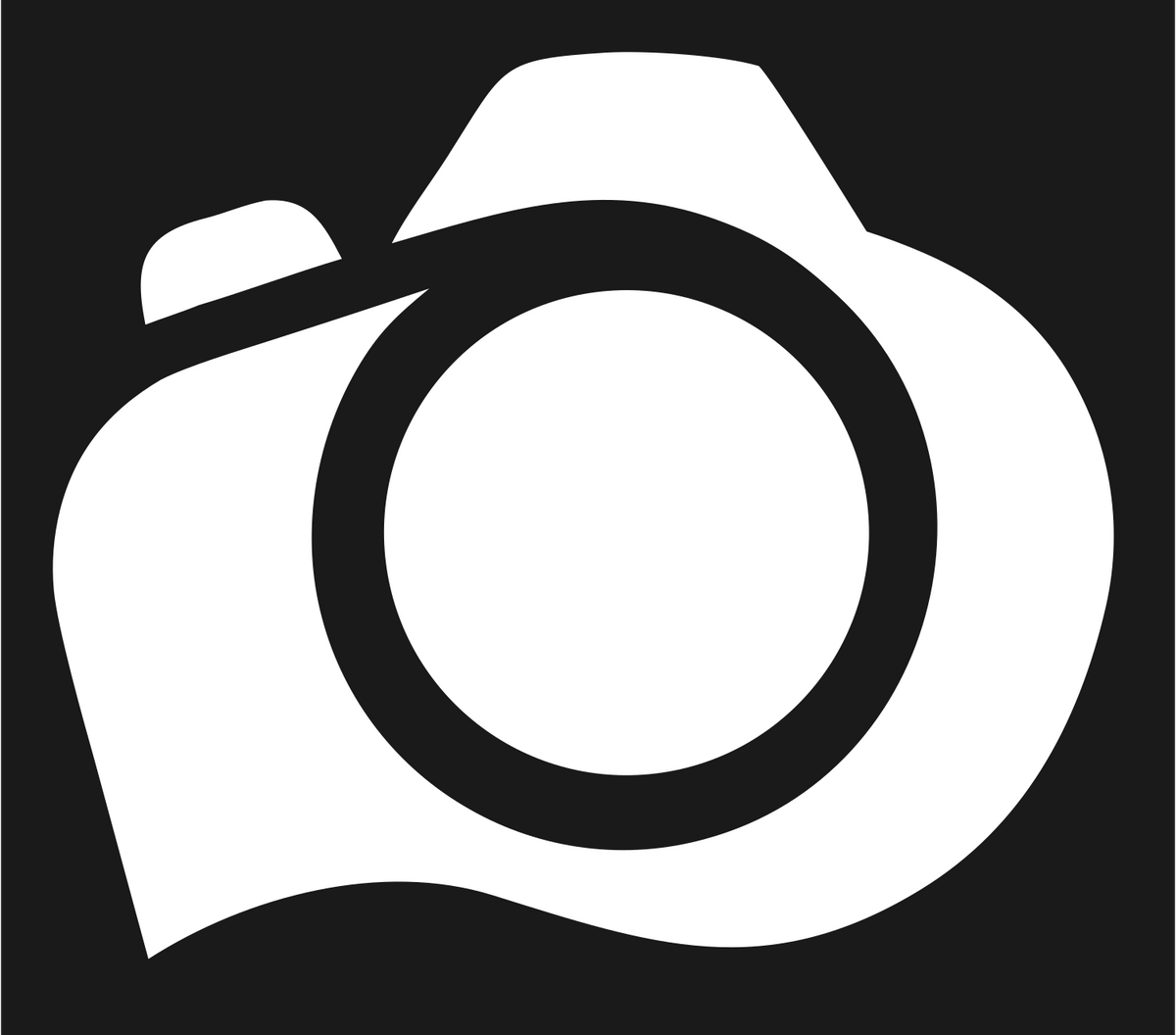 Solid Fill DSLR Camera Shutter Badge #1a1a1a/#ffffff