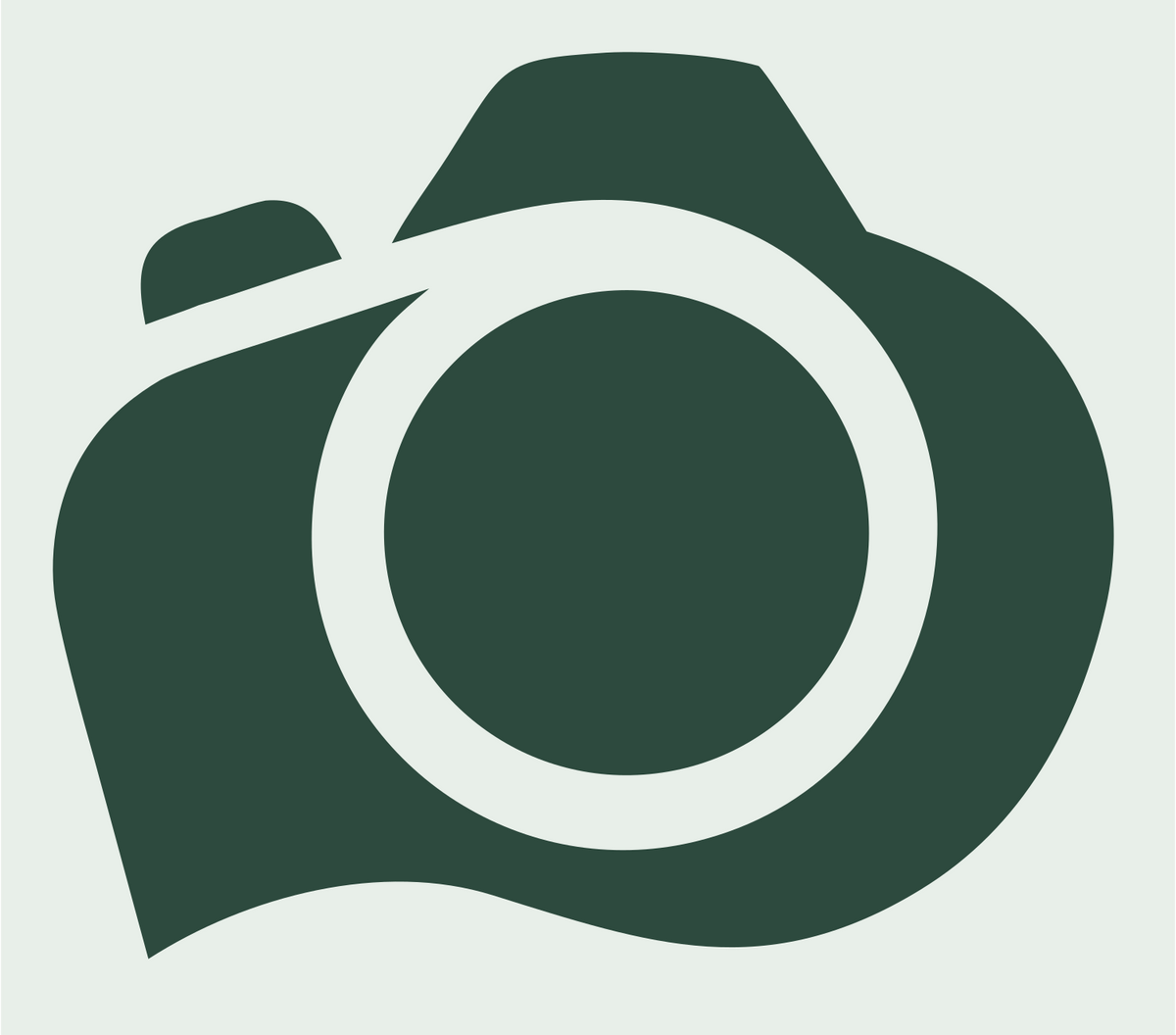 Solid Fill DSLR Camera Shutter Badge #e8efe9/#2d4a3e