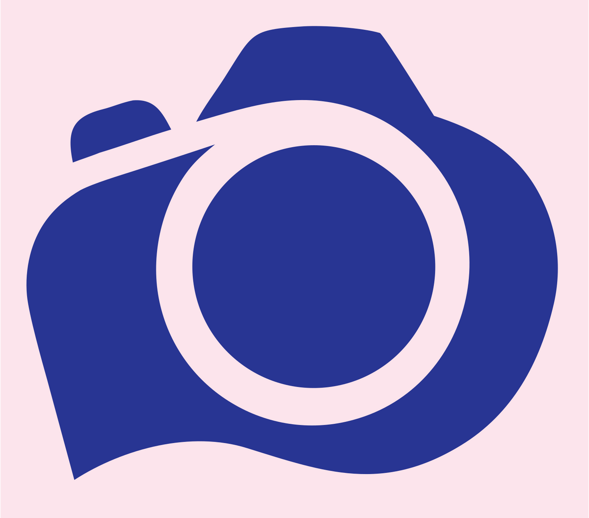Solid Fill DSLR Camera Shutter Badge #fce4ec/#283593