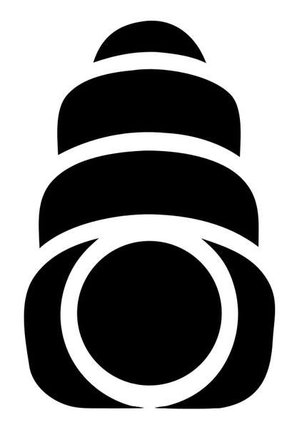 Stacked Rings Camera Body Tower Mark