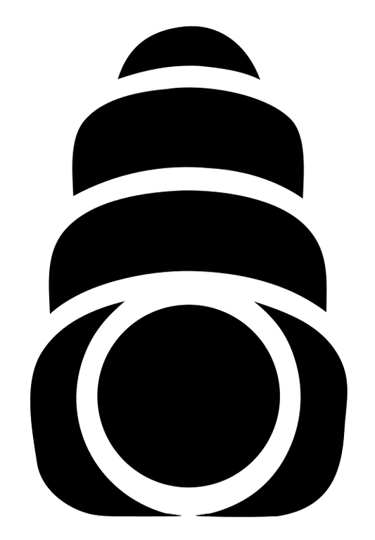 Stacked Rings Camera Body Tower Mark