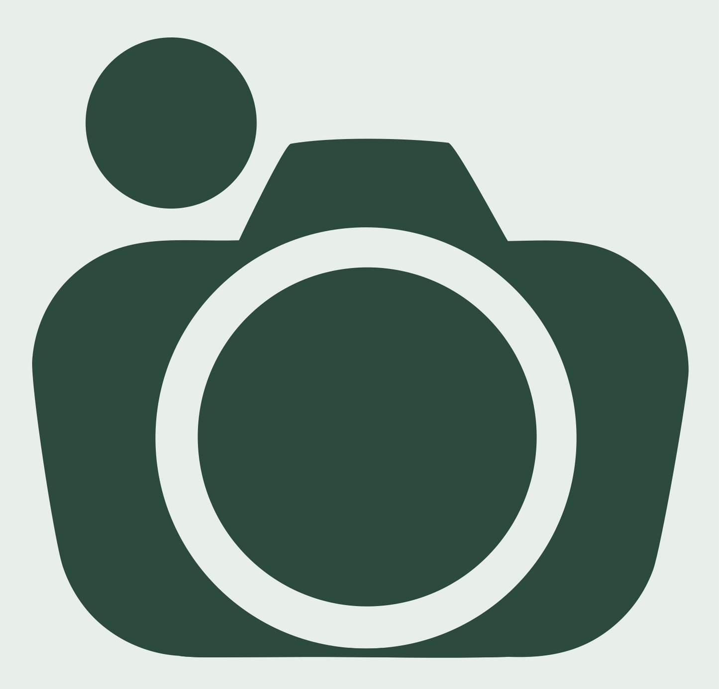 Camera Body Bold Logo #e8efe9/#2d4a3e
