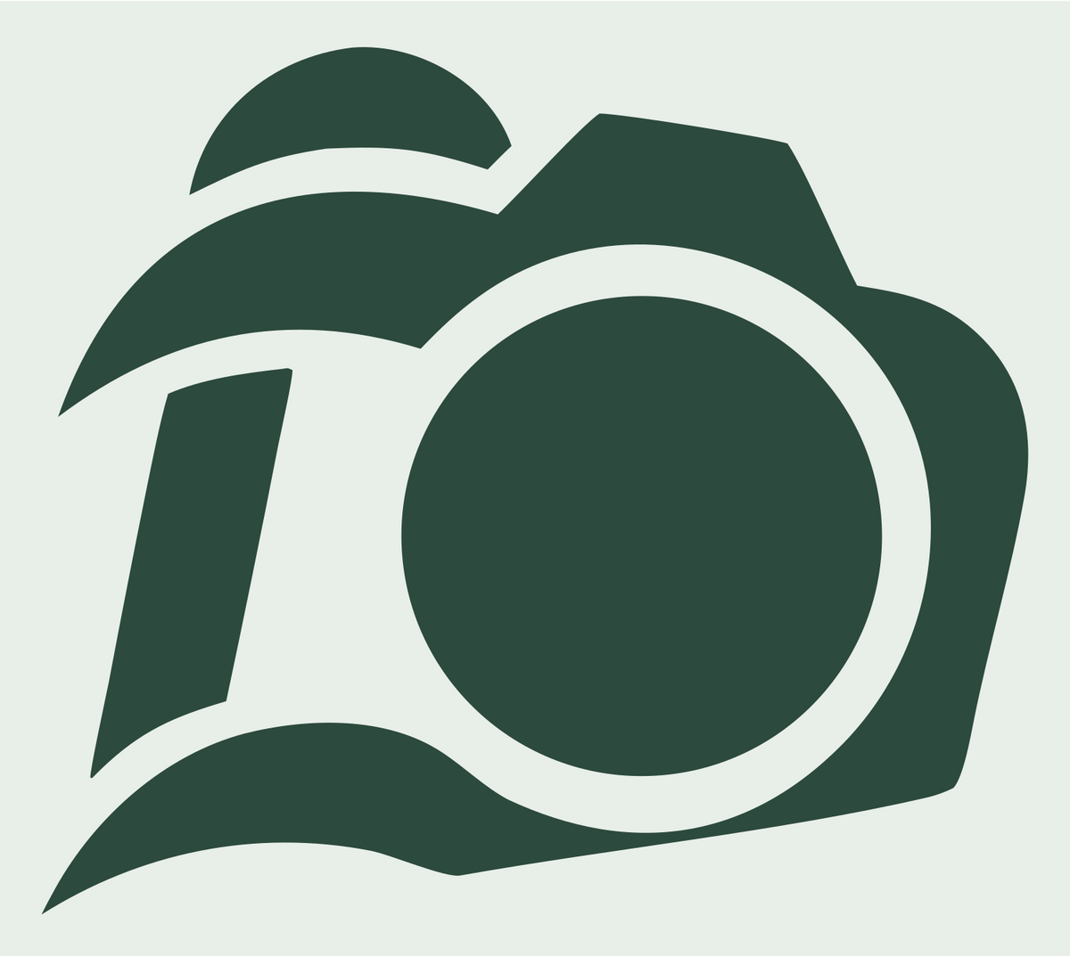 DSLR Camera Bold Emblem #e8efe9/#2d4a3e
