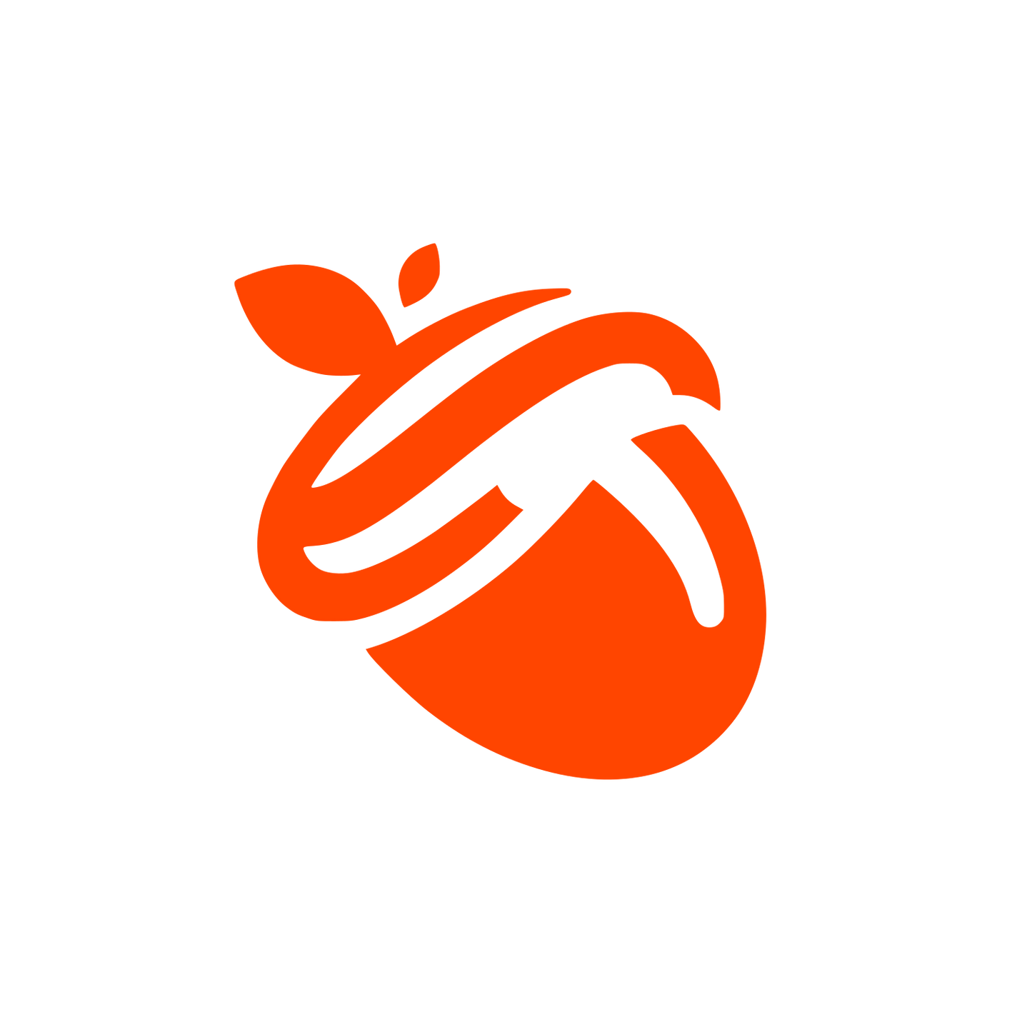 Swirly Acorn Logo #FF4500