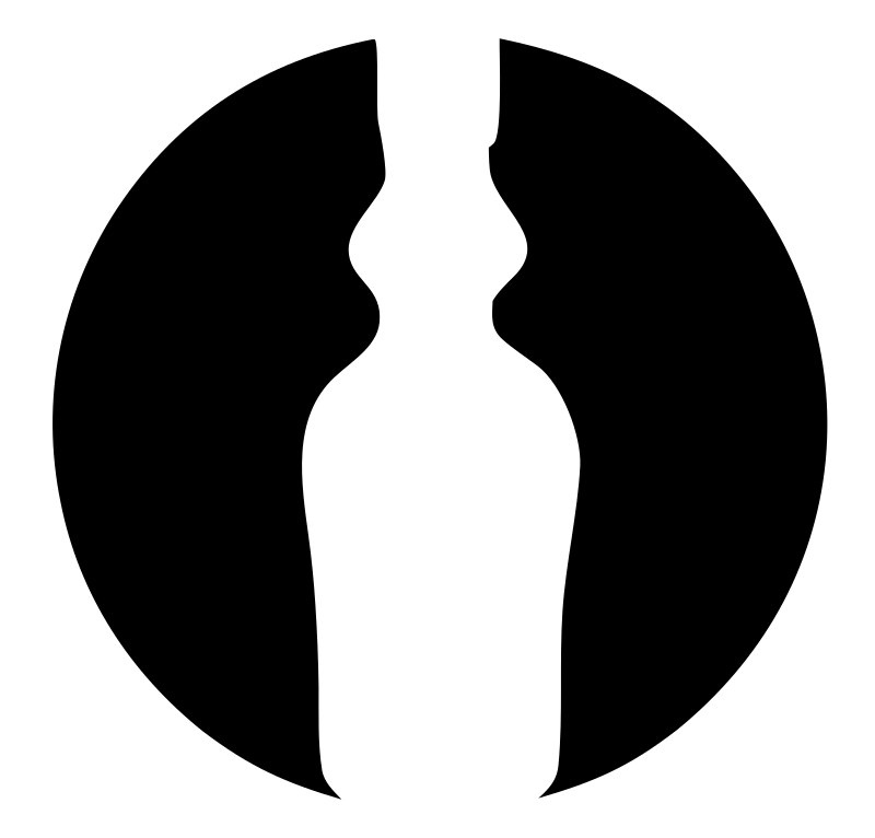 Dual Profile Face Illusion Bottle Emblem