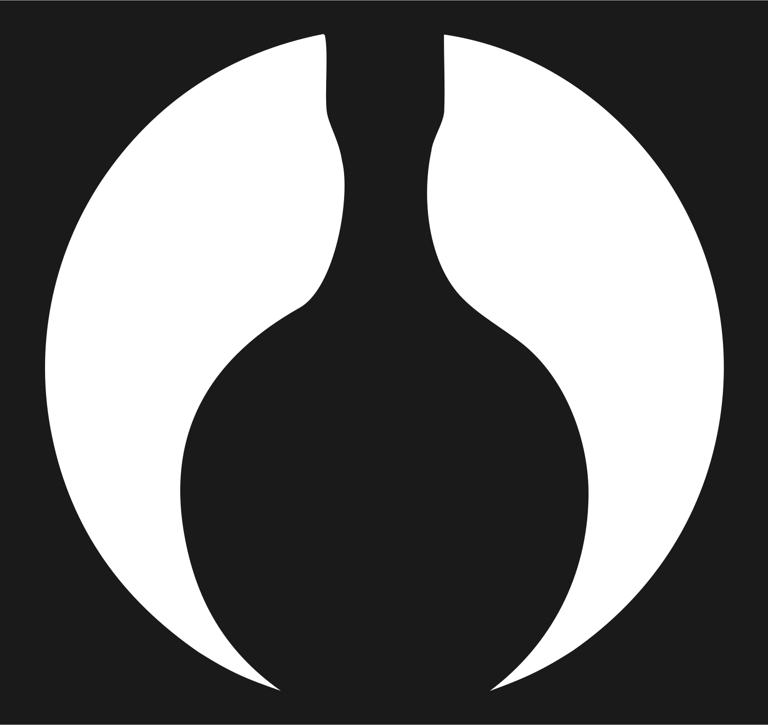 Yin Yang Negative Space Bottle Icon #1a1a1a/#ffffff