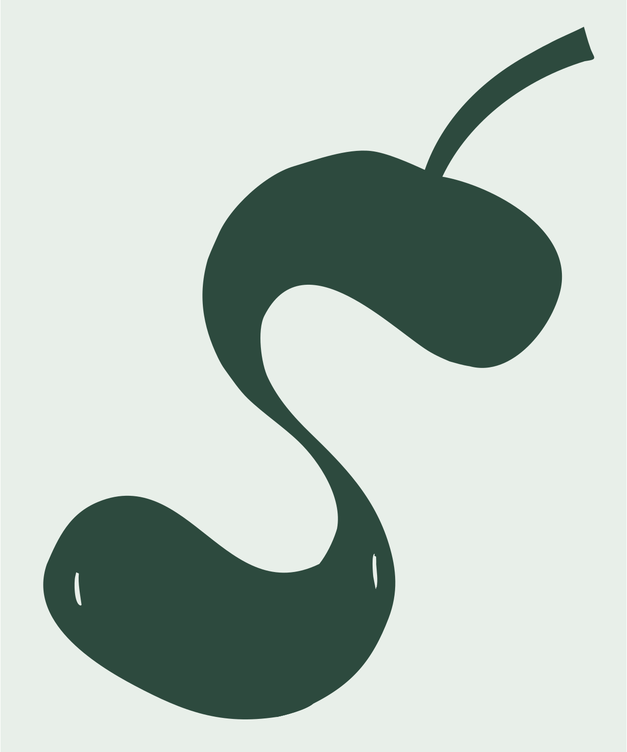 Hand-Drawn Fluid S-Curve Cherry Mark #e8efe9/#2d4a3e