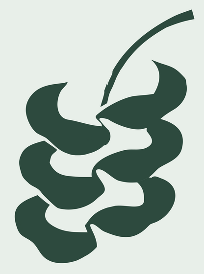 Hand-Drawn Oak Leaf Stem Silhouette Mark #e8efe9/#2d4a3e