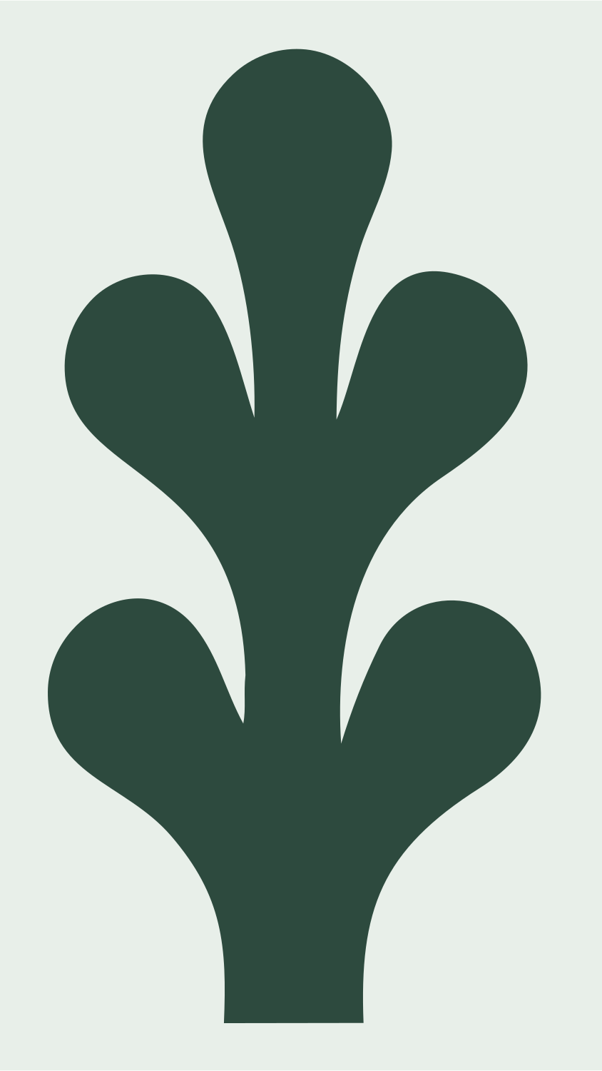 Swiss Flat Five-Lobe Cactus Mark #e8efe9/#2d4a3e