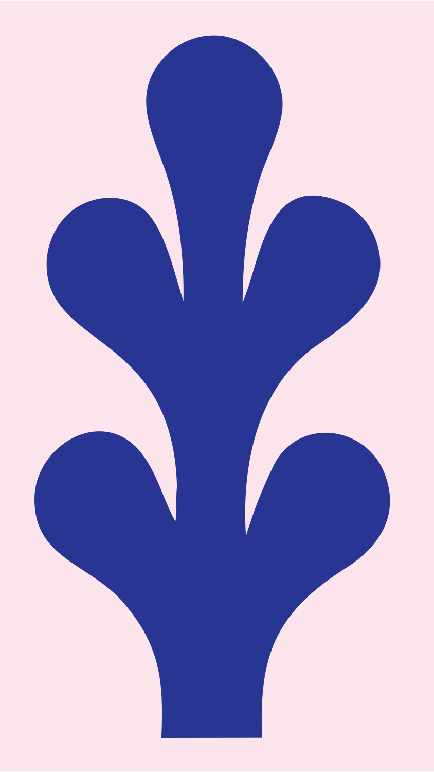 Swiss Flat Five-Lobe Cactus Mark #fce4ec/#283593