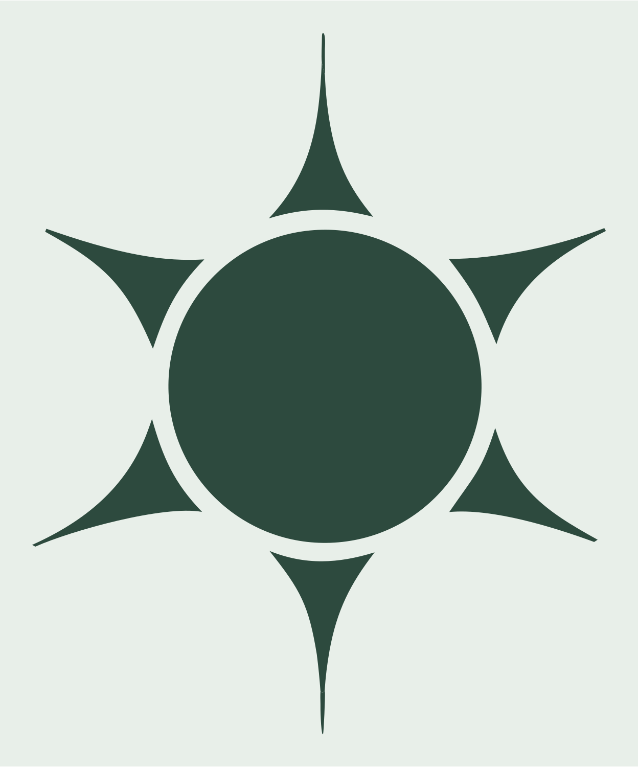 Tribal Sun Spined Cactus Radial Mark #e8efe9/#2d4a3e