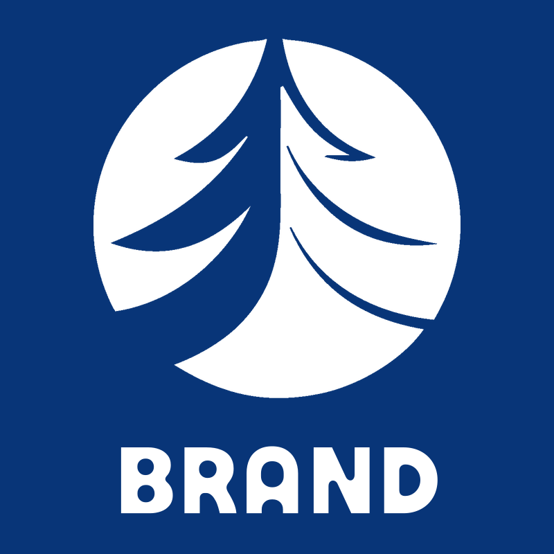 Negative Space Sweeping Branches Pine Crest preview