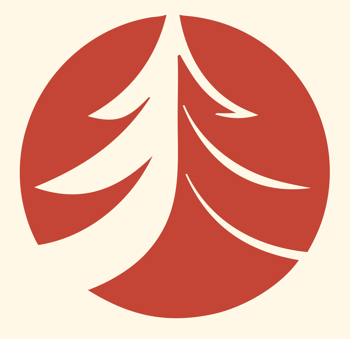 Negative Space Sweeping Branches Pine Crest #fff8e7/#c44536