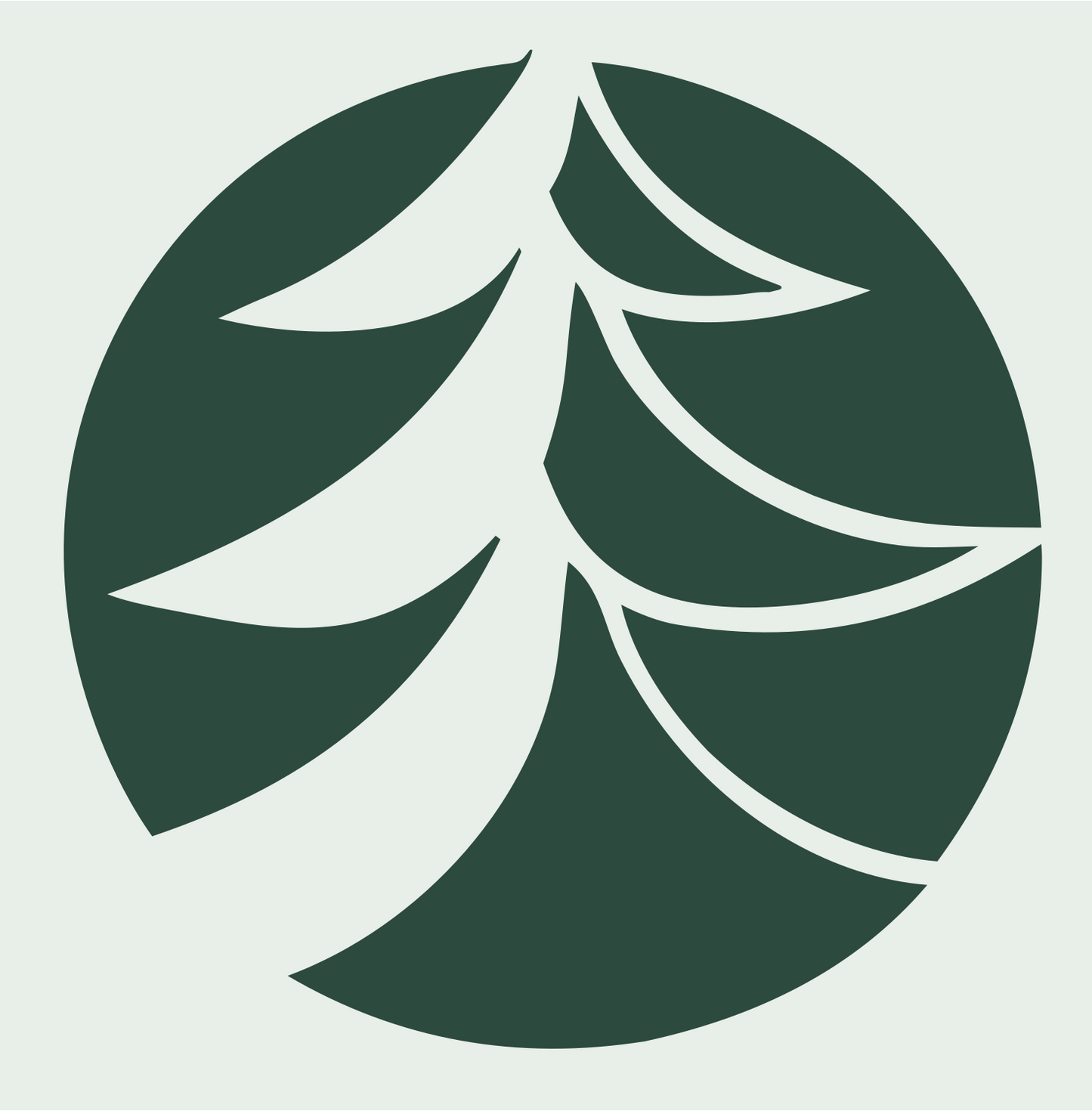 Negative Space Layered Boughs Pine Circle Mark #e8efe9/#2d4a3e