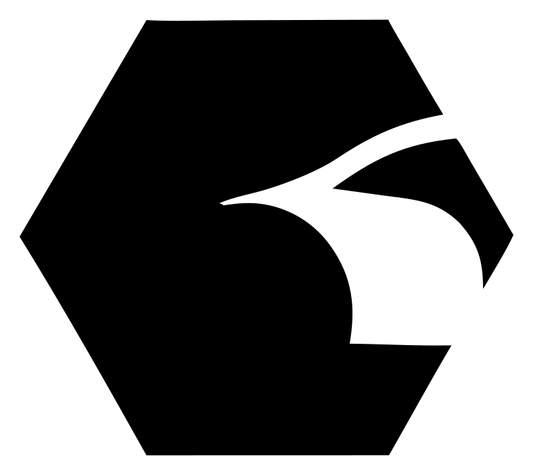 Negative Space Hexagon Eagle Car Mark