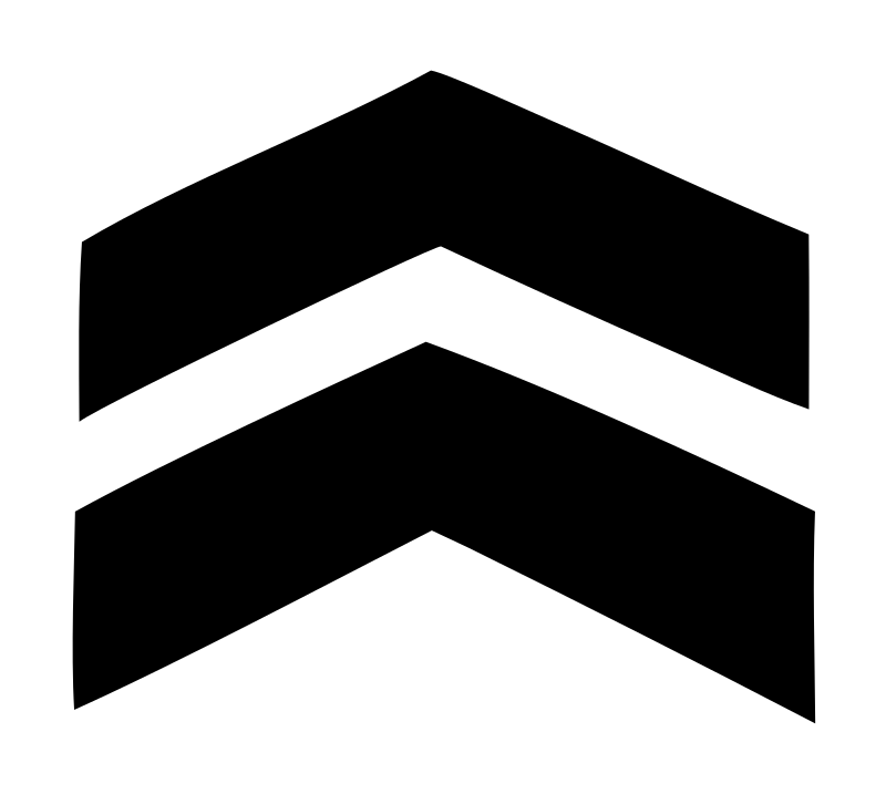 Angular Tribal Butterfly Emblem