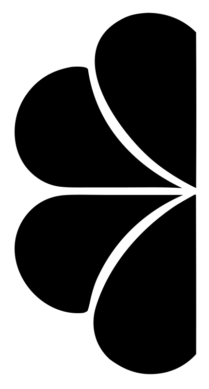 Radial Petal Pinwheel Design