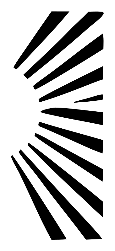 Sun Ray Flower Icon