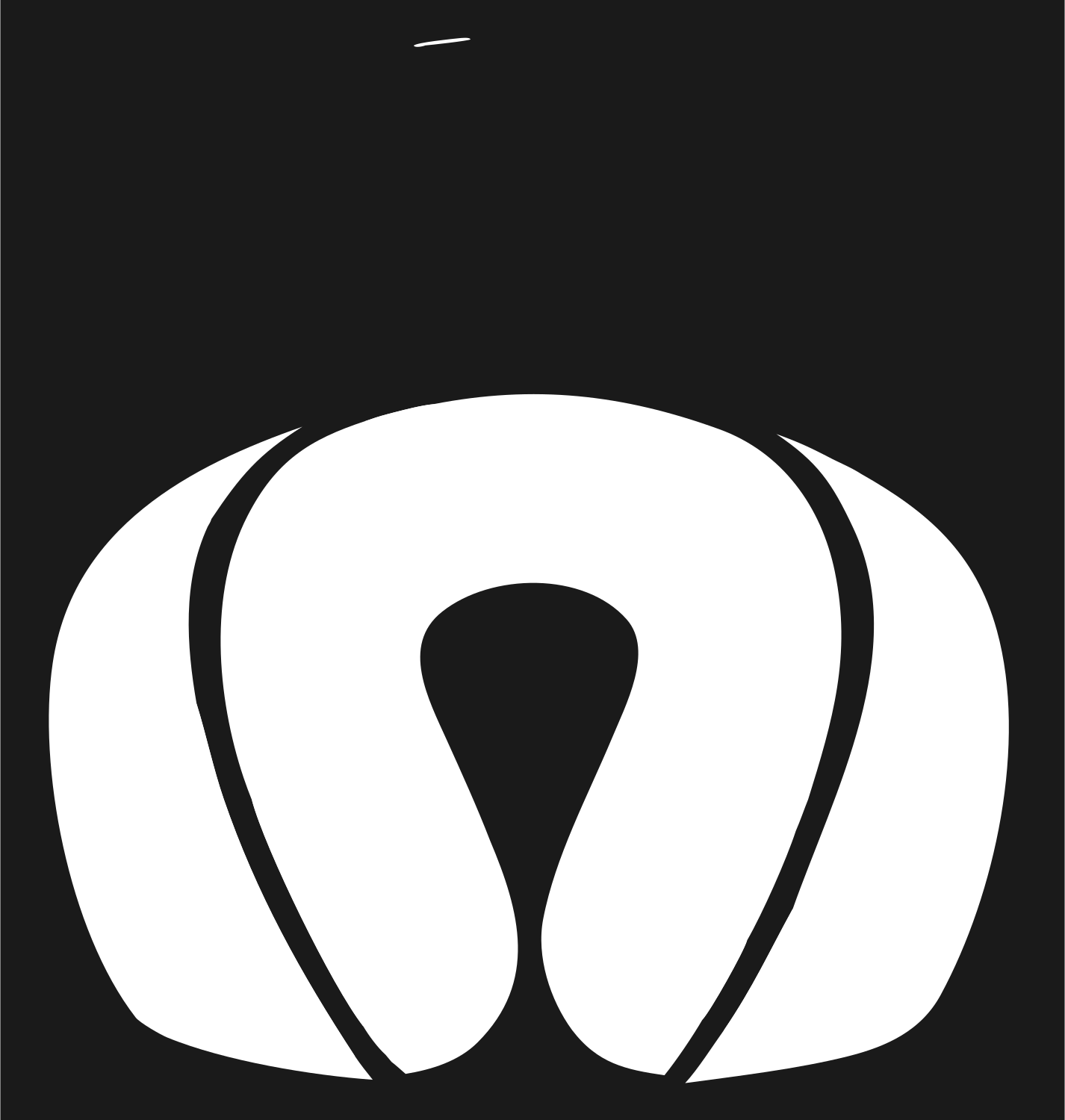 Volleyball Ball Minimalist Icon #1a1a1a/#ffffff