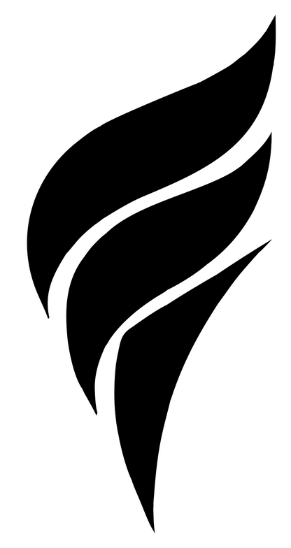 Bold Flame Volleyball Logo #ffffff/#000000