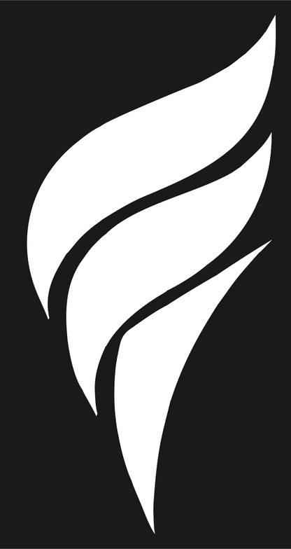 Bold Flame Volleyball Logo #1a1a1a/#ffffff