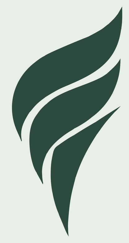 Bold Flame Volleyball Logo #e8efe9/#2d4a3e