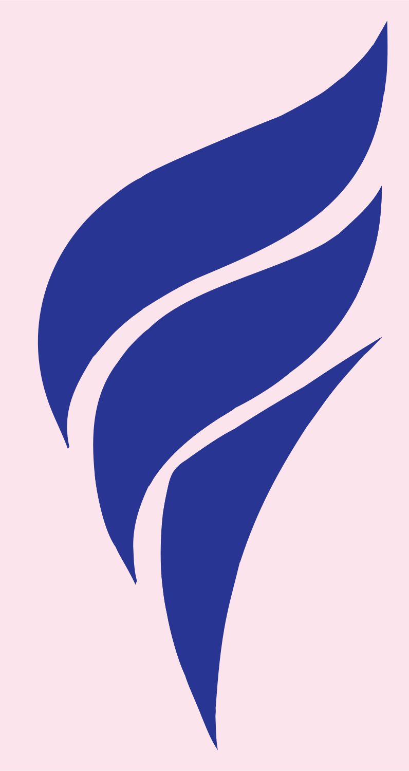 Bold Flame Volleyball Logo #fce4ec/#283593