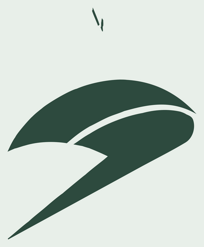 Hand-Drawn Lightning Volleyball Logo #e8efe9/#2d4a3e