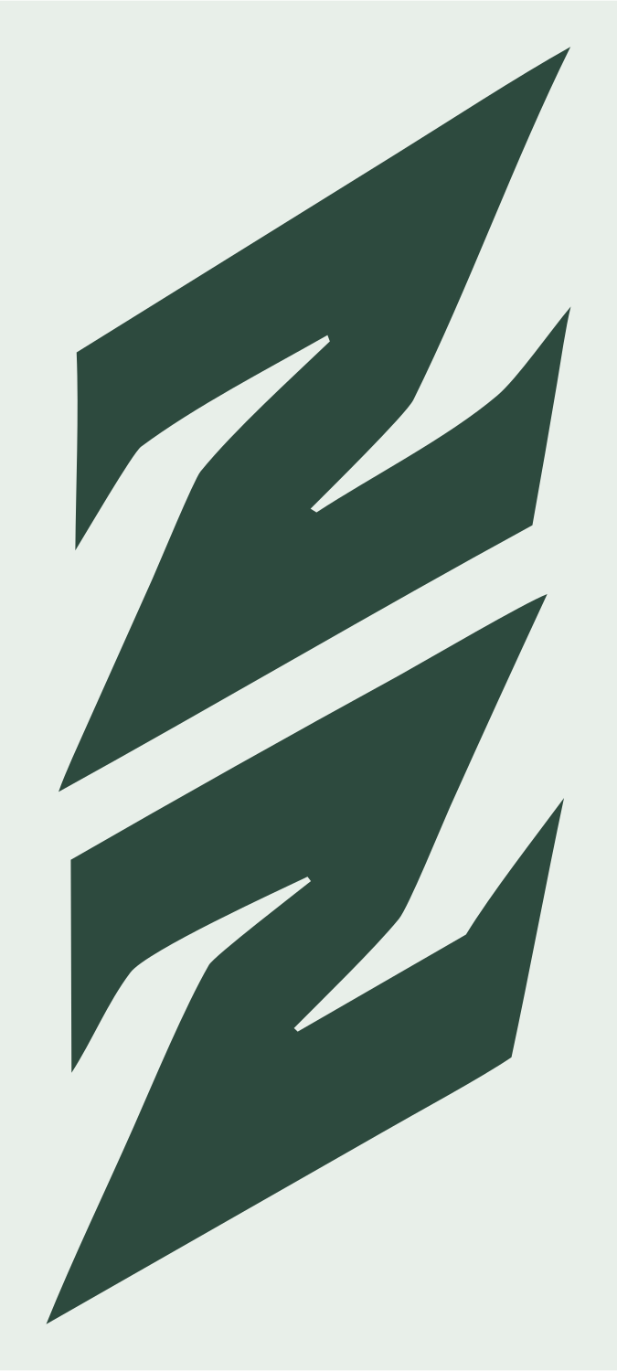 Bold Lightning Bolt Mark #e8efe9/#2d4a3e