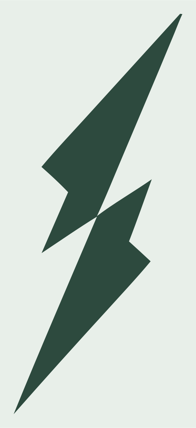 Jagged Lightning Bolt Emblem #e8efe9/#2d4a3e
