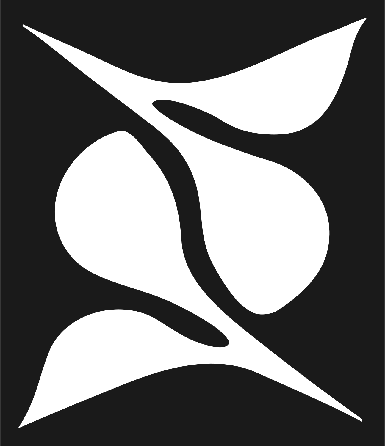 Abstract S-Shape Gemini Icon #1a1a1a/#ffffff