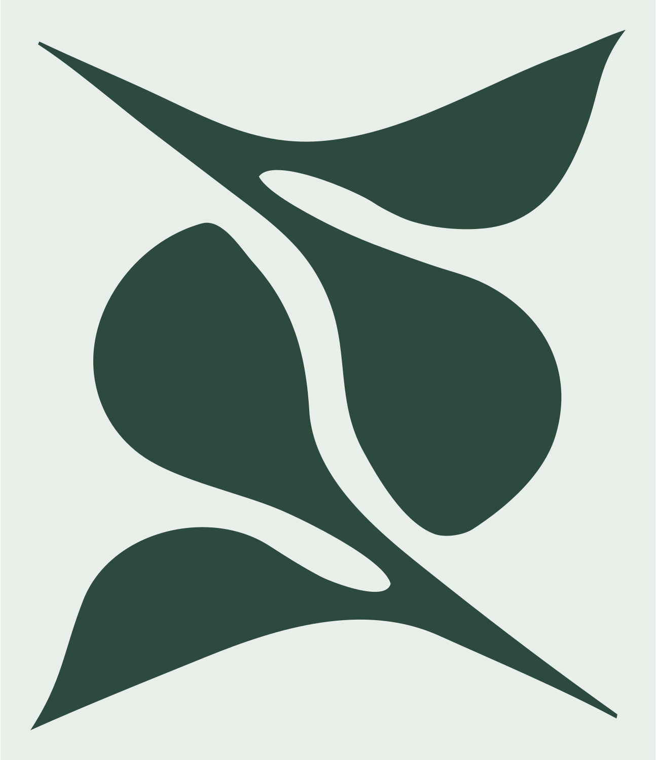 Abstract S-Shape Gemini Icon #e8efe9/#2d4a3e