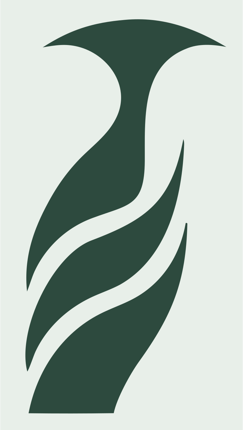 Hand-Drawn Penguin Silhouette Logo #e8efe9/#2d4a3e