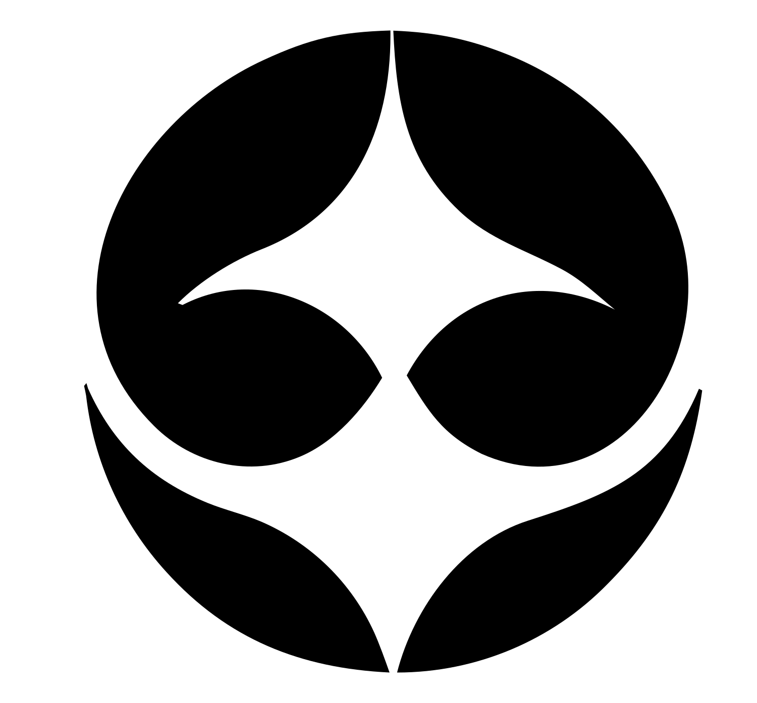 Negative Space Four-Point Star Badge #ffffff/#000000