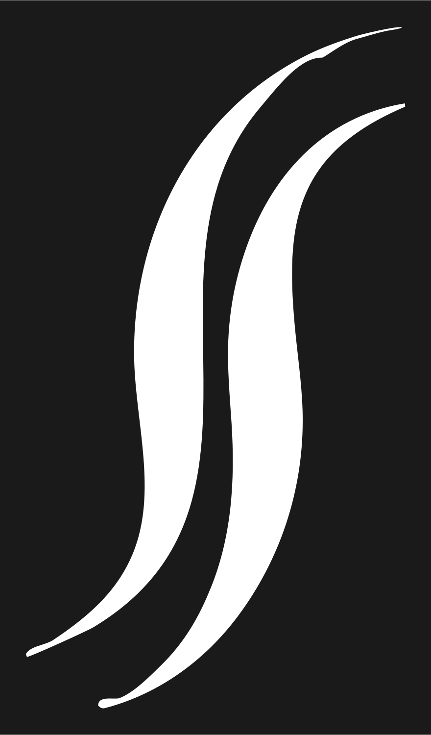 Hand-Drawn Double Curl Mark #1a1a1a/#ffffff