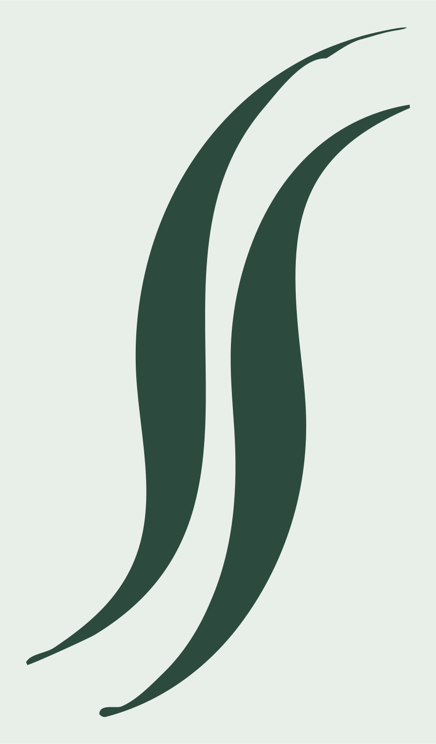 Hand-Drawn Double Curl Mark #e8efe9/#2d4a3e