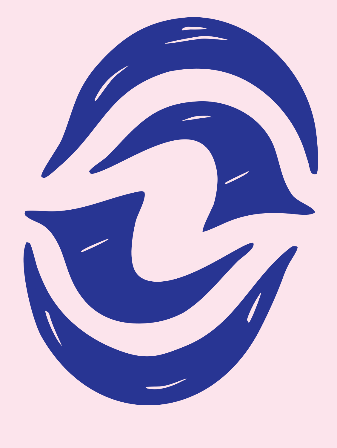 Hand-Drawn Dolphin Pair Mark #fce4ec/#283593