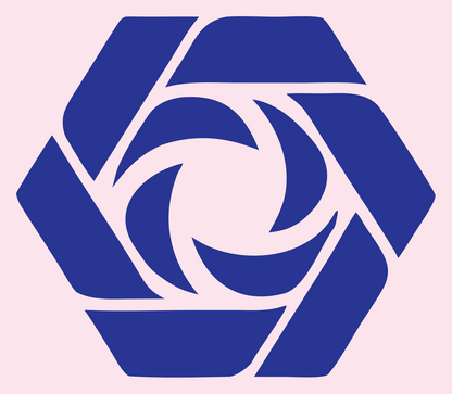 Hexagon Shutter Vortex Mark #fce4ec/#283593