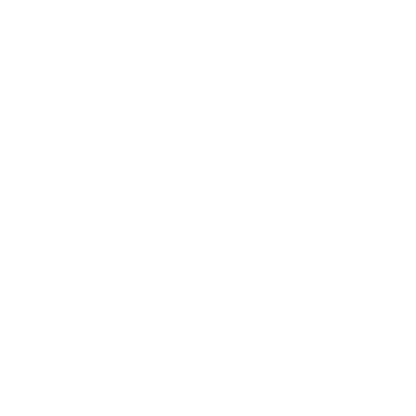 Candle Flame Logo #ffffff