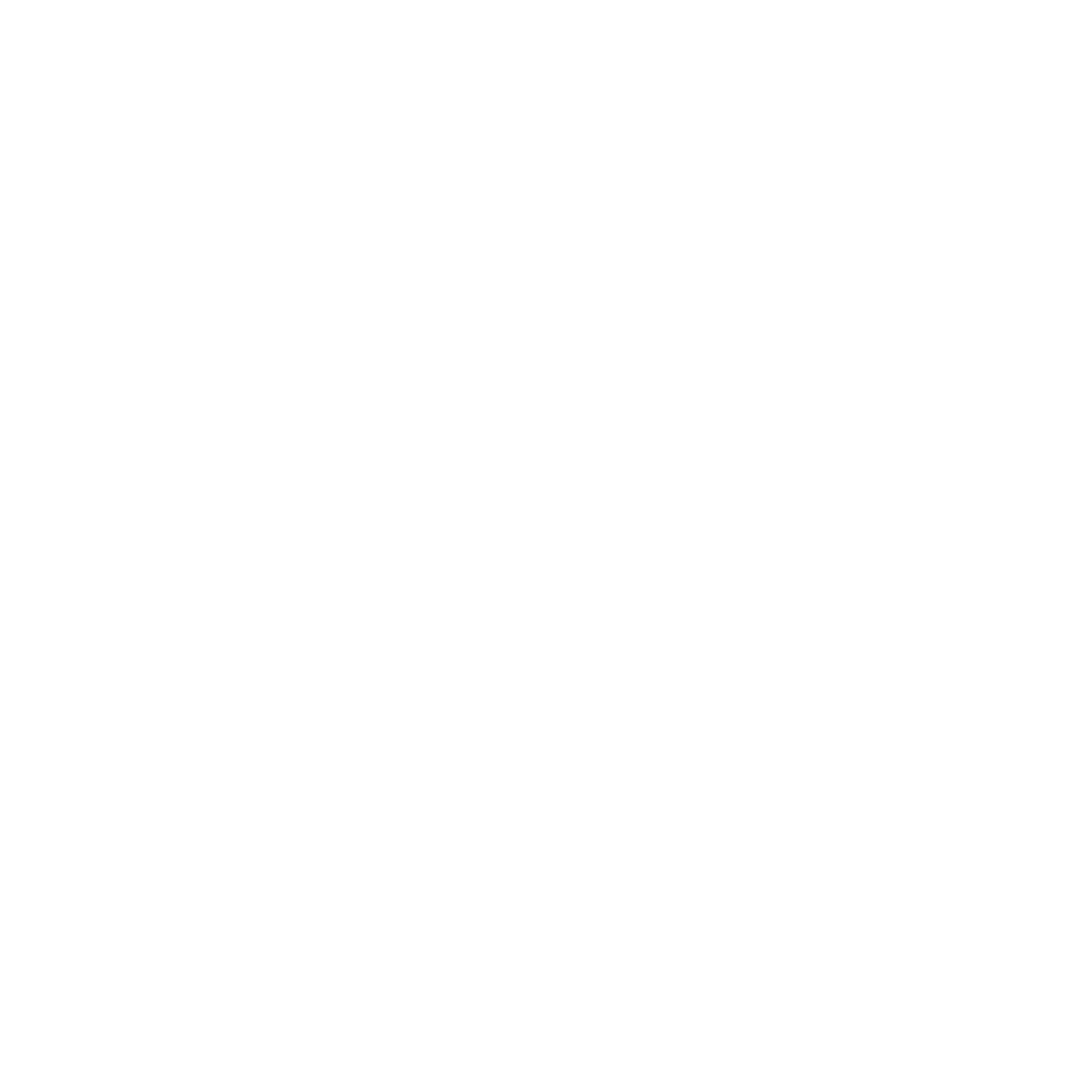 Candle Flame Logo #ffffff