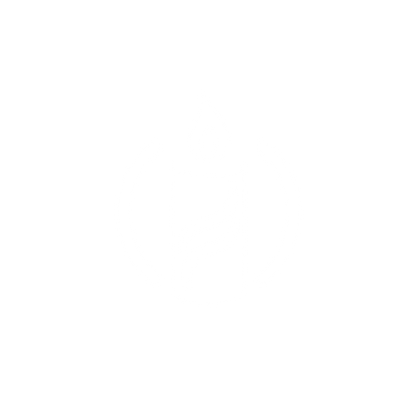 Candle Flame Logo #ffffff
