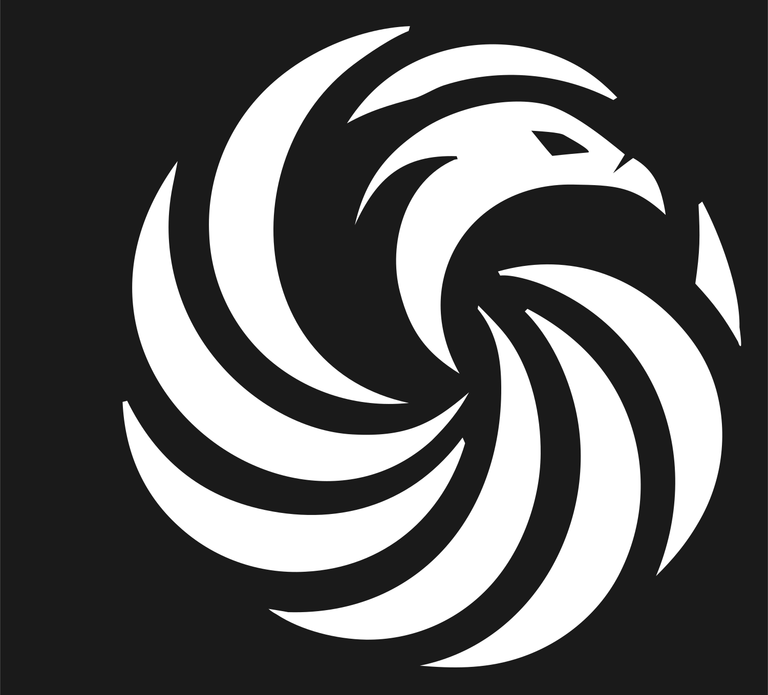 Spiral Phoenix Vortex Mark #1a1a1a/#ffffff