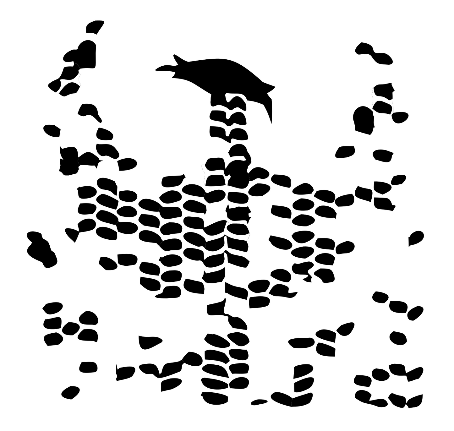 Dotted Phoenix Scatter Mark #ffffff/#000000