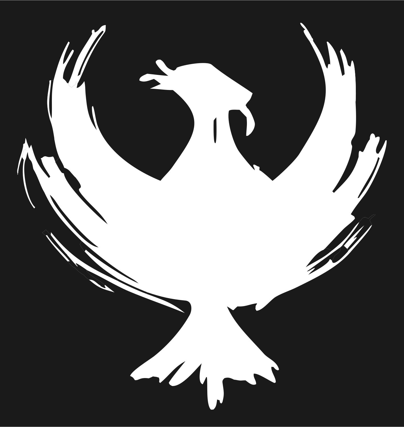 Chunky Phoenix Raptor Mark #1a1a1a/#ffffff