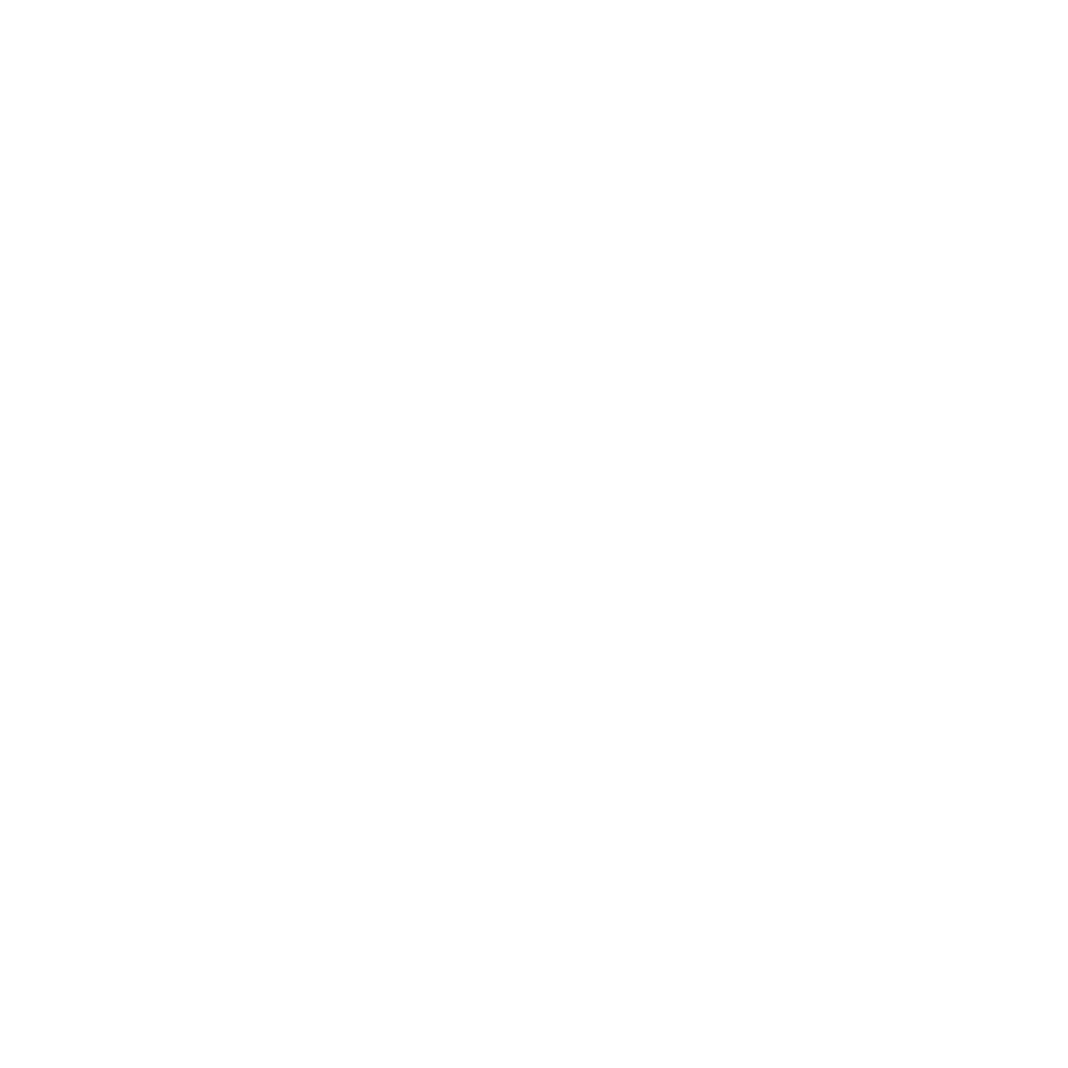 Chain Link Technology Logo #ffffff