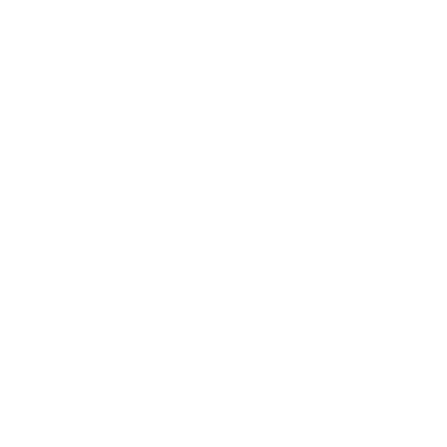 Chain Link Logo #ffffff