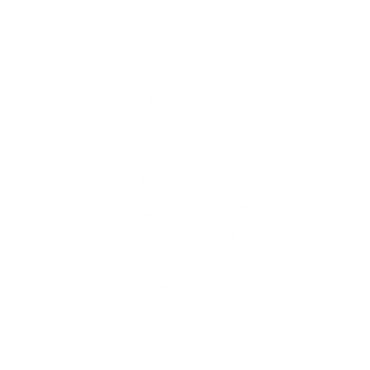 Chain Link Logo #ffffff